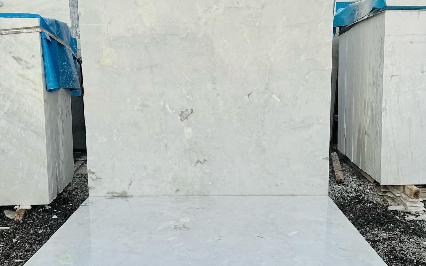 morwad white