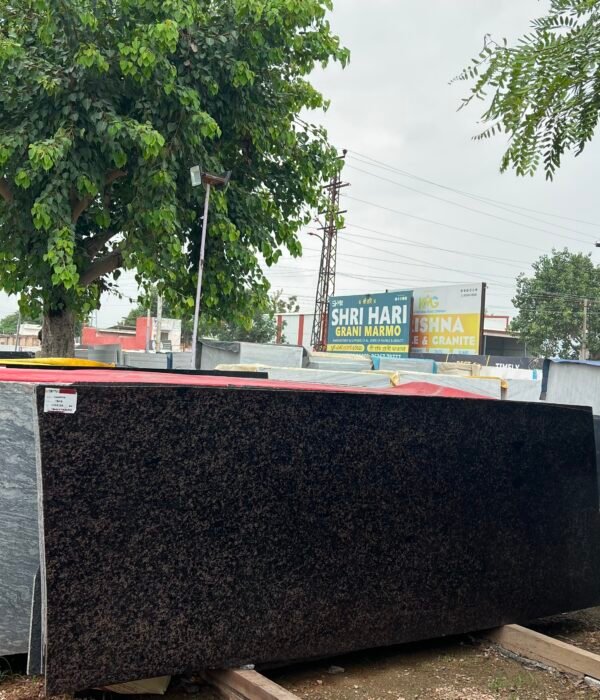 Brown lapotra