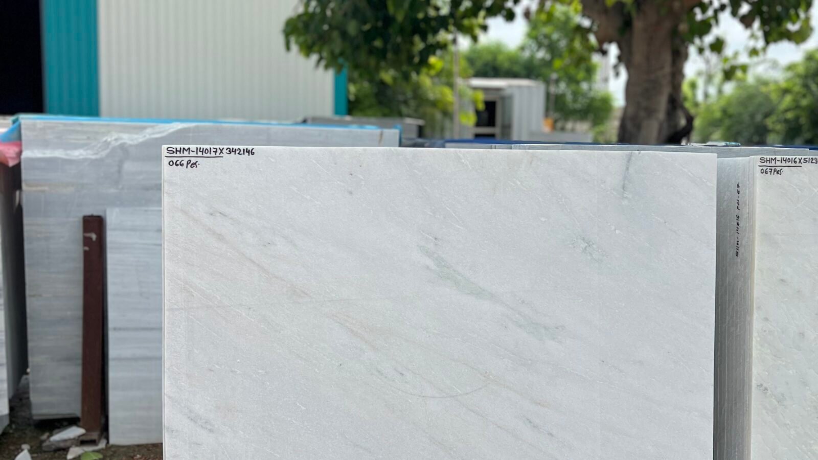 Morewod white